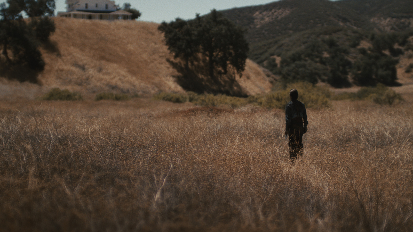 Jackrabbit Still 04
