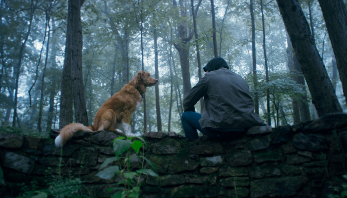 Good Boy Indy and Todd 2 1